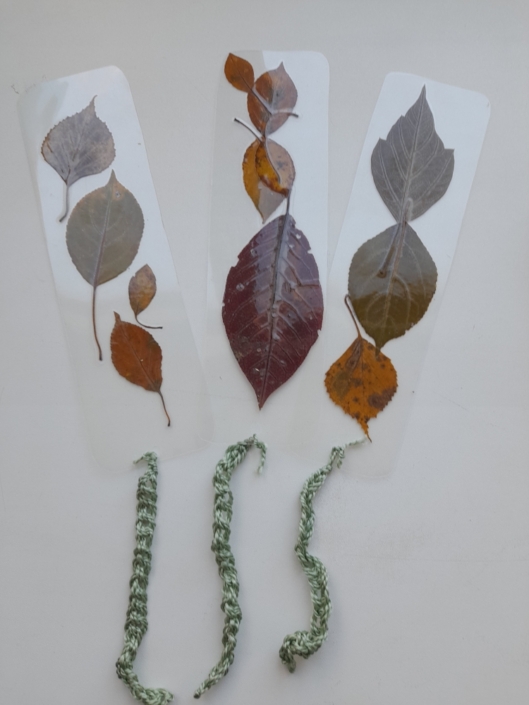 Золотая осень 2025 (1)