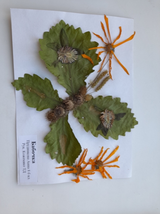 Золотая осень 2025 (2)