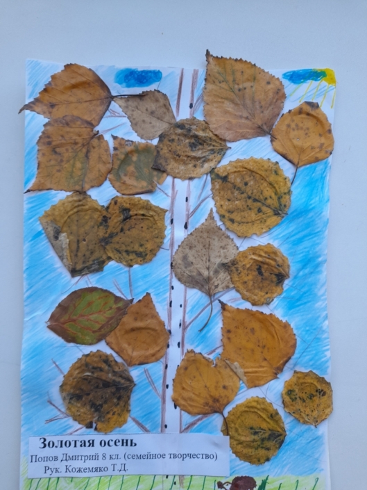 Золотая осень 2025 (3)