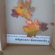 Золотая осень 2025 (4)