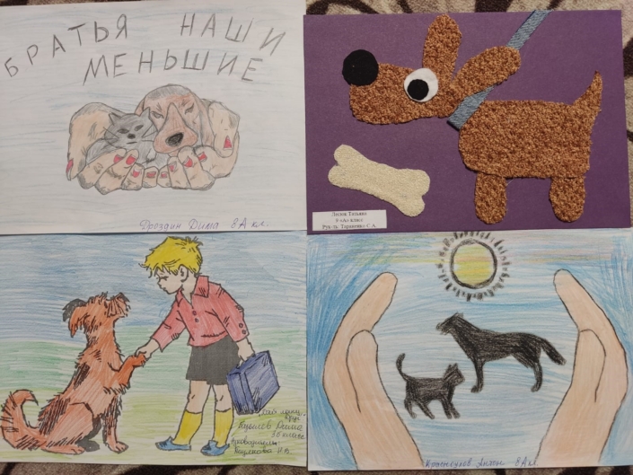 Дай лапу 2025 (1)