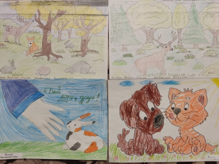 Дай лапу 2025 (2)