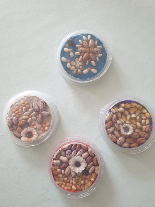 предмета «Домоводство» 2025 (5)