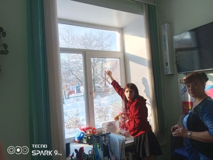 Новогодние окна 2025 (3)